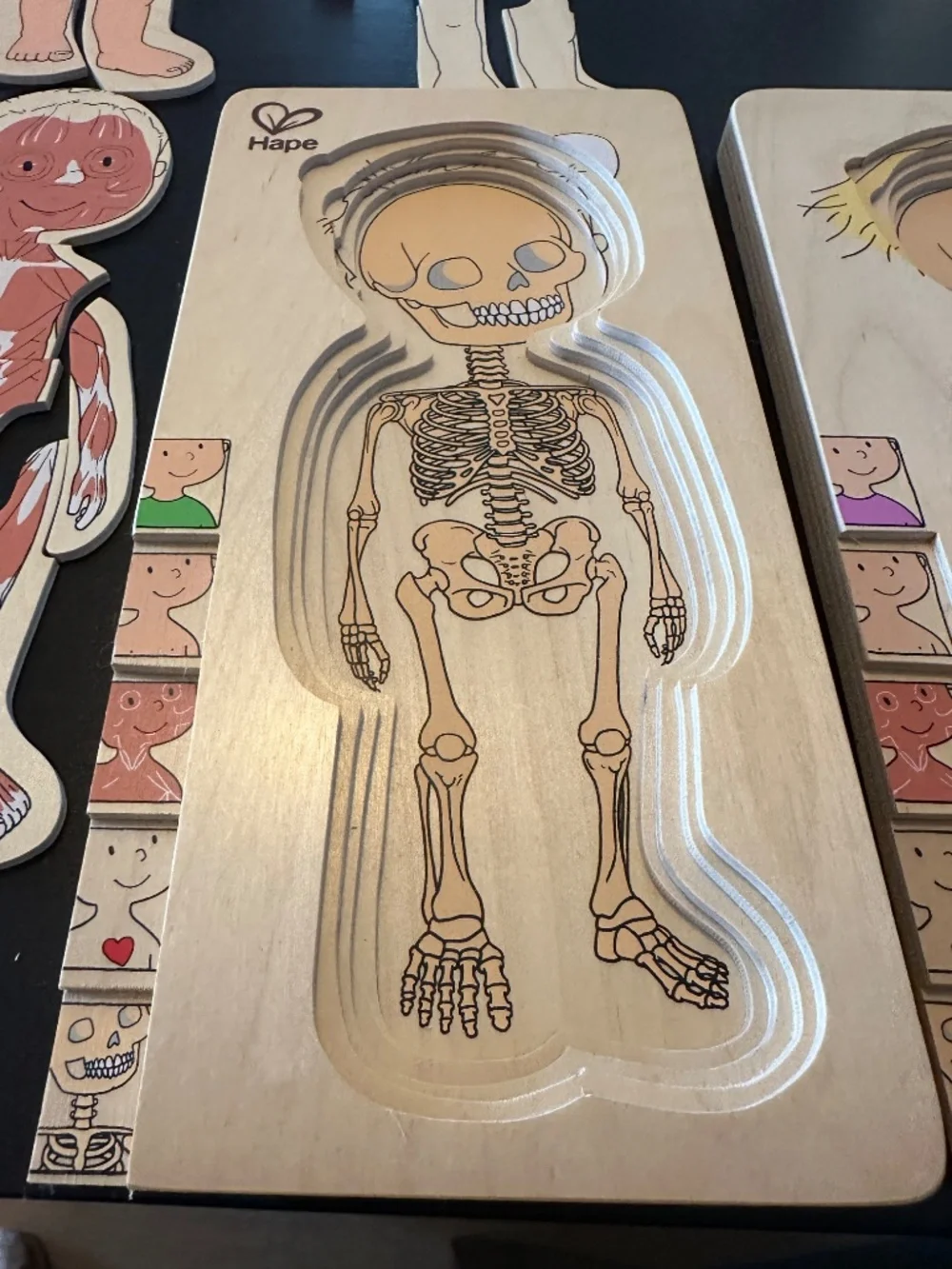 Hape Wooden Layered Anatomy Puzzles Boy & Girl Set of 2
